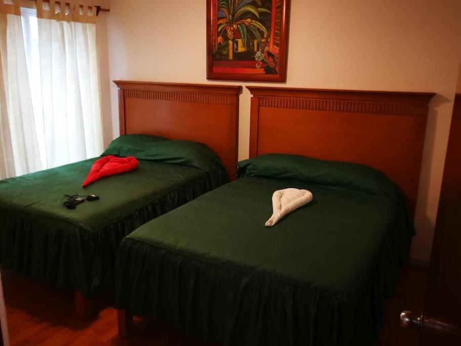 Apartamento In The Center Near The *